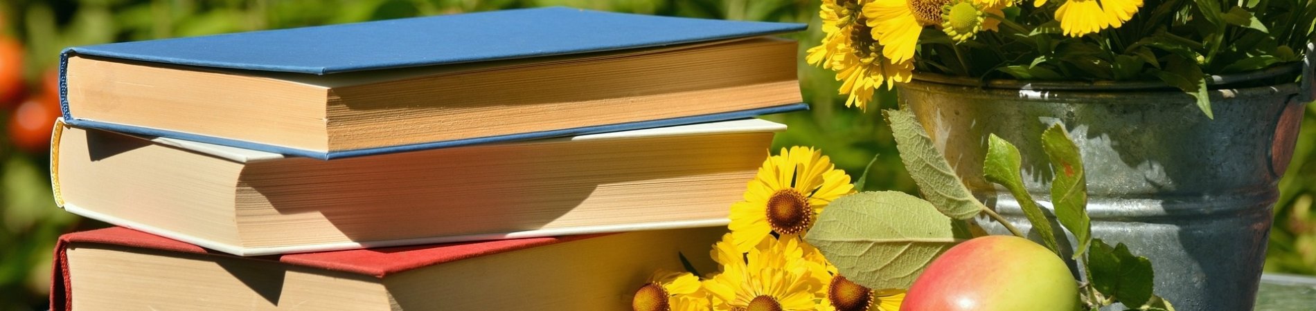 Bücher