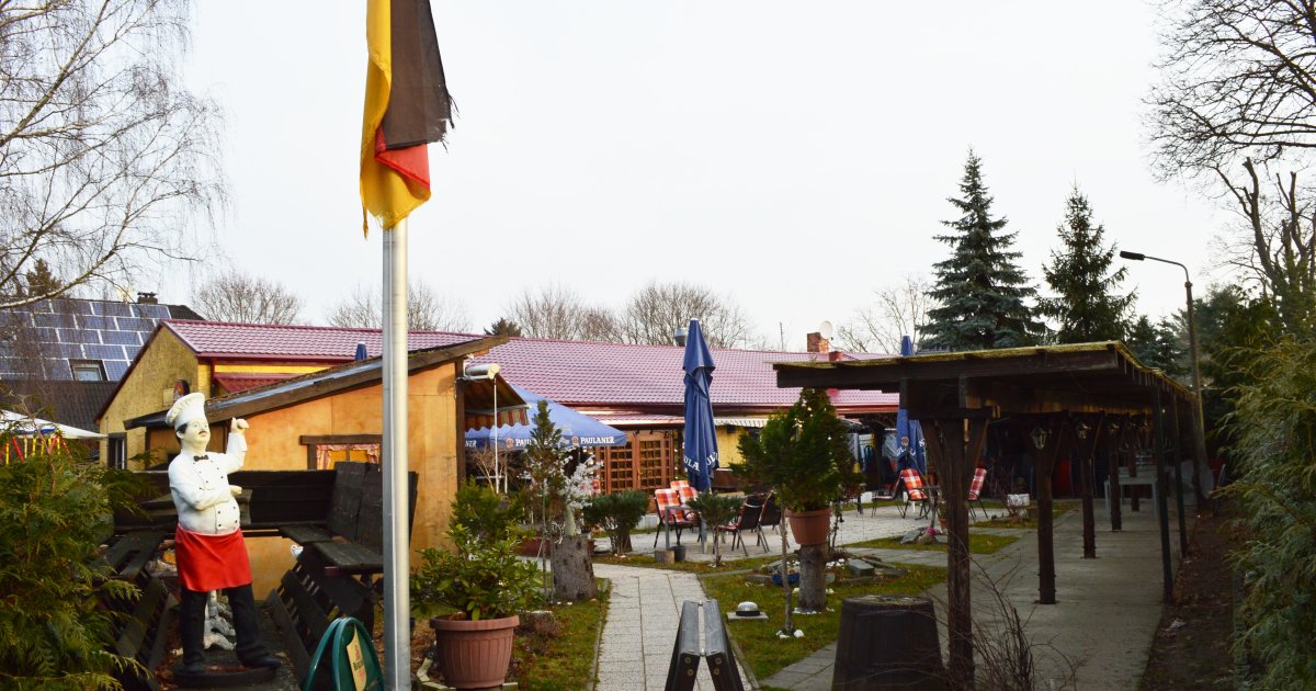 stickstoffdünger für kirschlorbeer ProviPlant Kirschlorbeer-Dünger: Für alle Lorbeerhecken und Sträucher